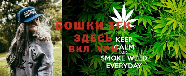 сатива Абдулино