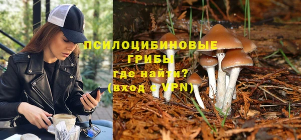молекула духа Абинск