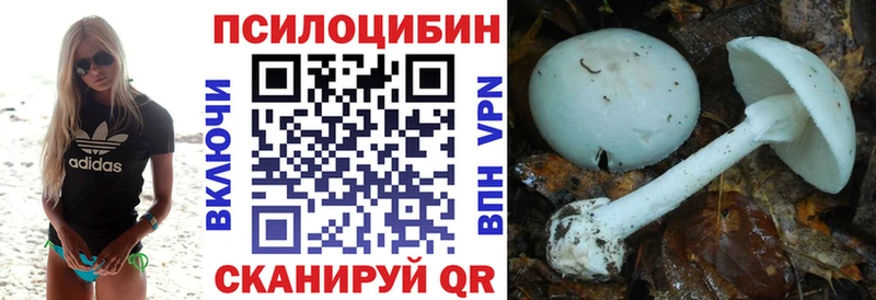 купить наркотики сайты  Южноуральск  Галлюциногенные грибы прущие грибы 