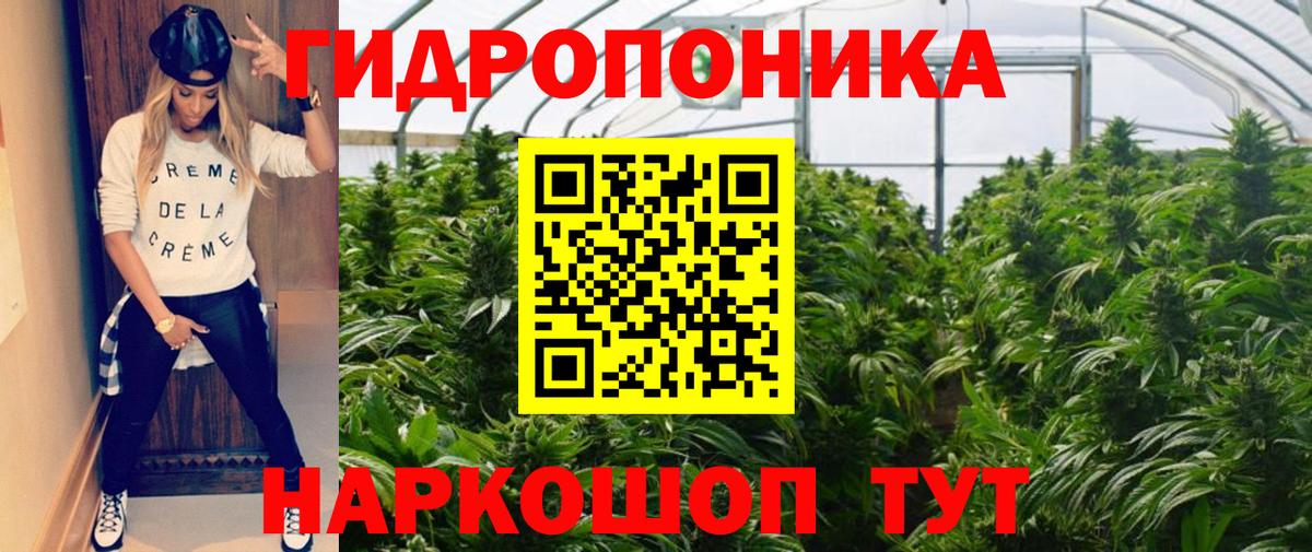 Бошки Шишки THC 21%  МАРИХУАНА план  Южноуральск  Вход с VPN  Бошки Шишки Ganja 